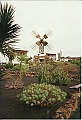 Lanzarote1997-096